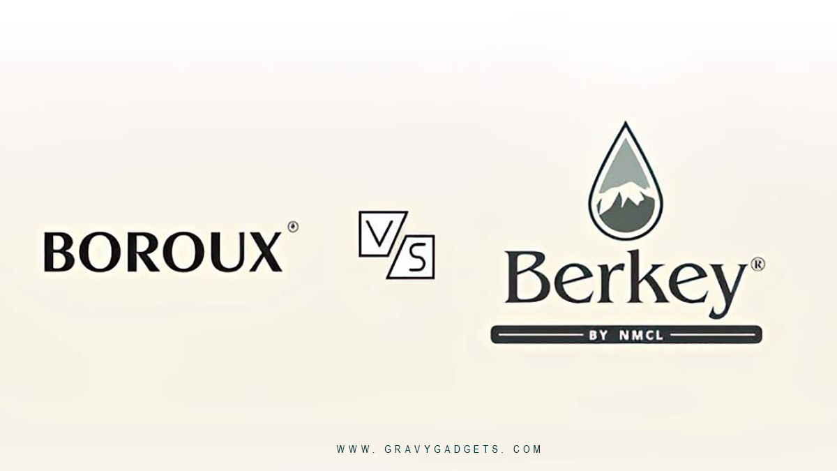 Boroux vs Berkey: Which I Found Best?